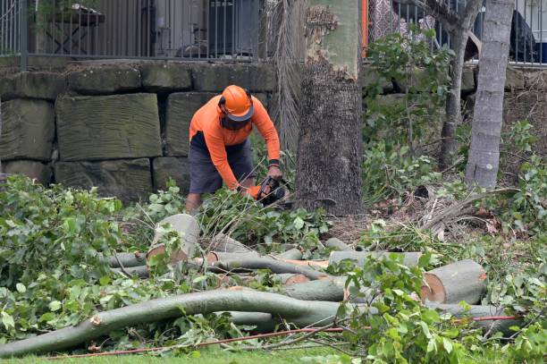 Best Arborist Consultation Services  in Bartlett, TX